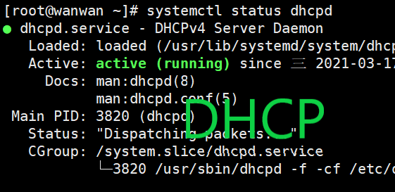 【Linux】DHCP服务器启动报错Job for dhcpd.service failed because the control process exited with error code. See “systemctl status dhcpd.service” and “journalctl -xe” for details.